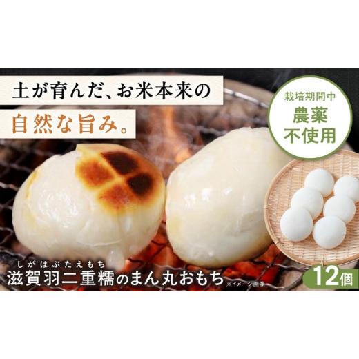 ふるさと納税 米・パン 餅 滋賀県 長浜市 滋賀羽二重糯のまん丸おもち 12個 餅 もち お餅 おもち モチ 丸餅 滋賀県長浜市/そふぁら