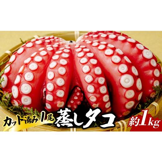 ふるさと納税 タコ 茨城県 ひたちなか市 浜清水産の蒸し蛸 まるごと1匹(約1kg) | 蒸し蛸 ボイルタコ タコ 1kg 海鮮 お取り寄せ 刺身用 カルパッチョ 大容量 新…
