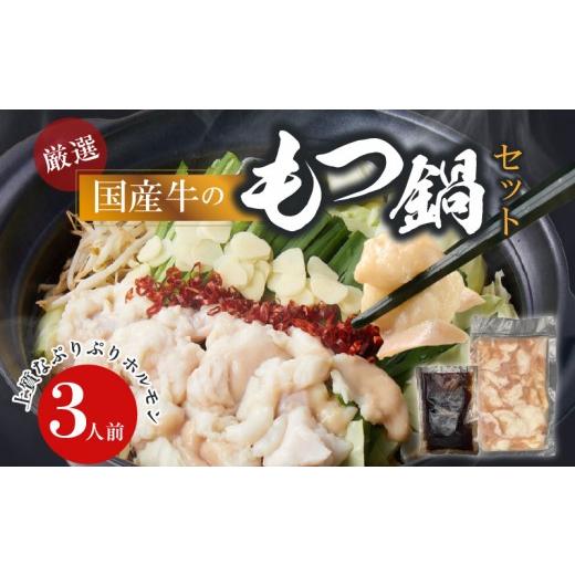 ふるさと納税 牛肉 もつ鍋 愛知県 小牧市 食肉総合卸 丸正 厳選国産牛のもつ鍋セット(3人前)