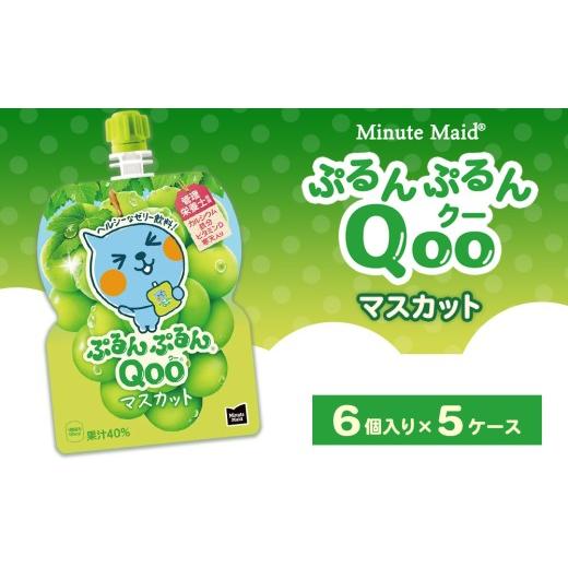 ふるさと納税 果汁飲料 ぶどう 茨城県 土浦市 ミニッツメイド ぷるんぷるんQoo(クー) マスカット 6個入り×5ケース 1回配送(14,000円)