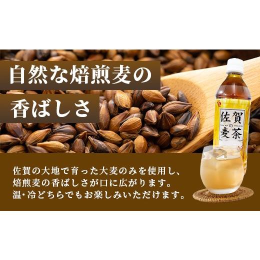 ふるさと納税 お茶類 佐賀県 鹿島市 佐賀の麦茶 500ml×24本 3回 定期便 無添加 無香料 香ばしい 《佐賀県産大麦焙煎 》 自然派 ビタミンC 香料カフェインゼロ…の画像