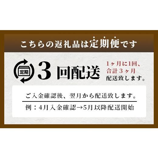 ふるさと納税 お茶類 佐賀県 鹿島市 佐賀の麦茶 500ml×24本 3回 定期便 無添加 無香料 香ばしい 《佐賀県産大麦焙煎 》 自然派 ビタミンC 香料カフェインゼロ…の画像