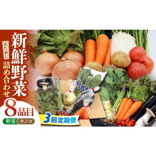 ふるさと納税 セット・詰合せ 長崎県 南島原市 3回定期便 お試し野菜セット 8品目 詰め合わせ / 野菜 やさい ヤサイ 旬 新鮮 / 南島原市 / 吉岡青果 SCZ02…