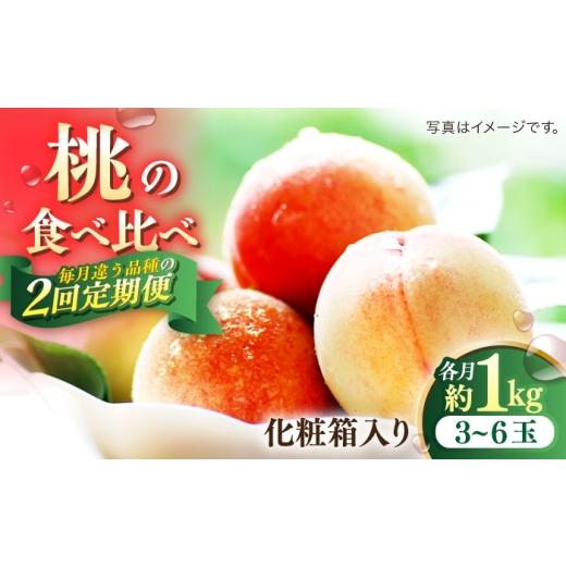 ふるさと納税 もも 長崎県 南島原市 2回定期便 南島原の桃を食べ比べ 化粧箱入り 計2kg 日川白鳳 夢富士 あかつき なつっこ / 桃 もも ハウス桃 フルーツ 果…