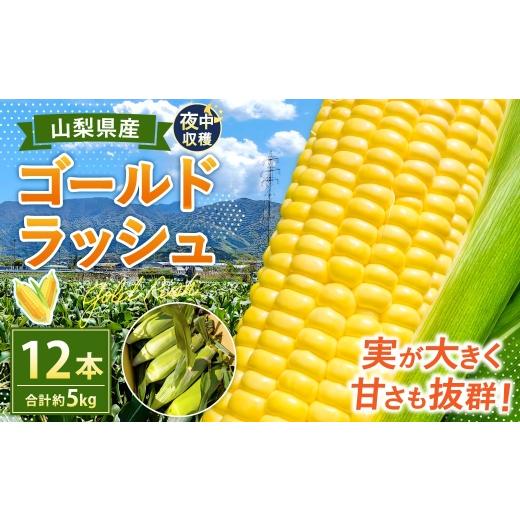 ふるさと納税 とうもろこし 山梨県 中央市 夜中収穫 とうもろこし ( ゴールドラッシュ ) 12本 ( 約5kg ) 2026年5月下旬〜6月上旬迄発送予定 野菜 やさい …