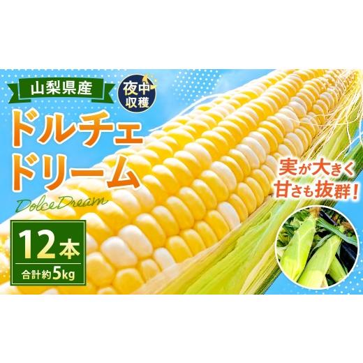 ふるさと納税 とうもろこし 山梨県 中央市 夜中収穫 とうもろこし ( ドルチェドリーム ) 12本 ( 約5kg ) 2026年6月上旬〜下旬迄発送予定 野菜 やさい トウ…
