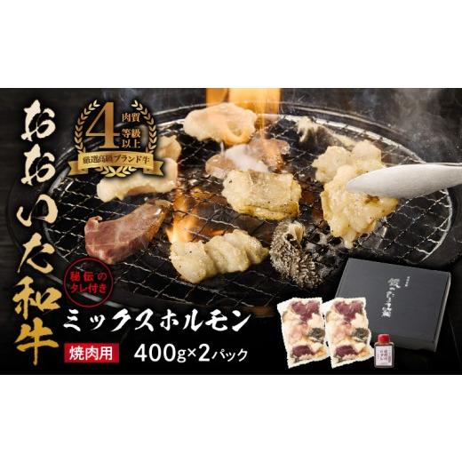 ふるさと納税 牛肉 ホルモン 大分県 国東市 秘伝のタレ付 おおいた和牛ミックスホルモン400g×2パック_2678R 焼肉 バーベキュー BBQ ミシュラン 高級店