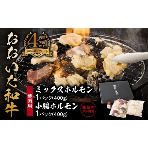 ふるさと納税 牛肉 ホルモン 大分県 国東市 秘伝のタレ付 おおいた和牛 ミックス・小腸ホルモン 各400g_2679R 焼肉 バーベキュー BBQ ミシュラン 高級店