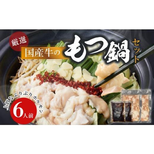 ふるさと納税 牛肉 もつ鍋 愛知県 小牧市 食肉総合卸 丸正 厳選国産牛のもつ鍋セット(6人前)