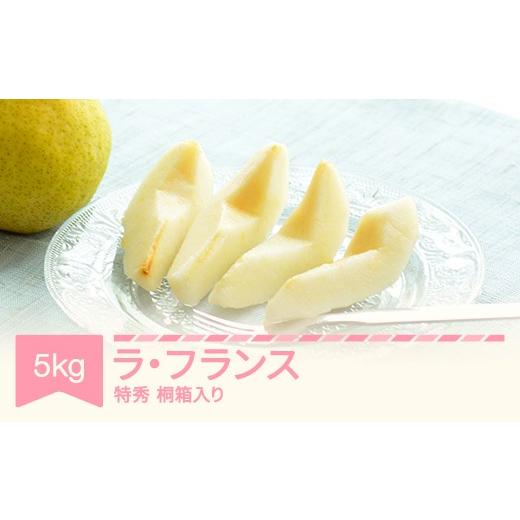 ふるさと納税 梨 山形県 村山市 先行予約 ラ・フランス 洋梨 ラフランス 5kg 特秀品 桐箱入 令和8年産 2026年産 果物 沖縄・離島への配送不可 mm-latsk5000