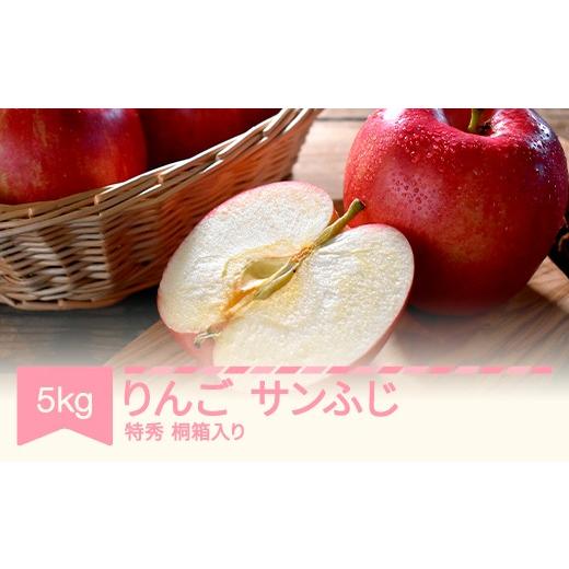 ふるさと納税 りんご 山形県 村山市 先行予約 サンふじ りんご 約5kg 特秀品 桐箱入 令和8年産 2026年産 沖縄・離島への配送不可 mm-risfk5000