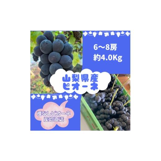 ふるさと納税 ぶどう 山梨県 山梨市  2026年8月より発送予定 ピオーネ6〜8房(約4.0kg) 1727826の画像