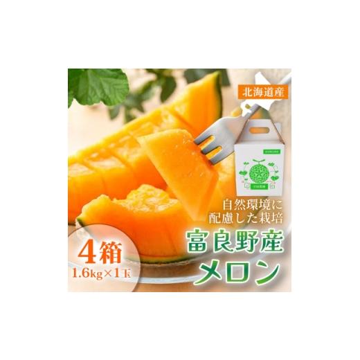 ふるさと納税 メロン 北海道 富良野市 糖度15度以上 赤肉メロン 富良野産 メロン 1.6kg×1玉 4箱|北海道富良野市 7〜8月発送 1705344