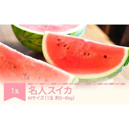 ふるさと納税 スイカ 山形県 村山市 先行予約 名人スイカ 大玉すいか 1玉 5~6kg 2026年産 令和8年産 沖縄・離島への配送不可 mm-suxmx1 1玉(5〜6kg) Mサイズ