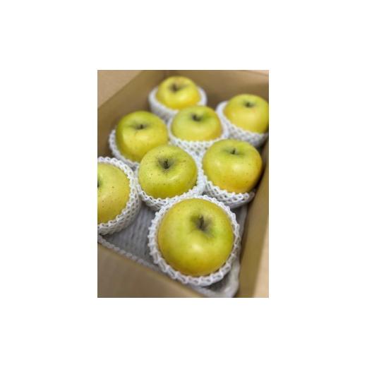 ふるさと納税 りんご 長野県 長野市 シナノゴールド3kg