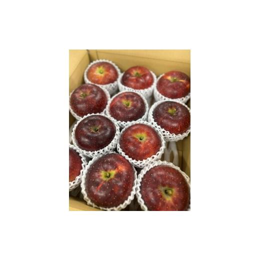 ふるさと納税 りんご 長野県 長野市 秋映りんご3kg