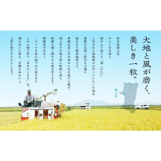 ふるさと納税 無洗米 秋田県 潟上市 《洟垂れ小僧先んずる取って置く》 毎月届く 令和8年産 秋田県産あきたこまち 上げ米 定期便6回 30kg×6回 計180kg 秋田のこまち栽培所 潟上 30…