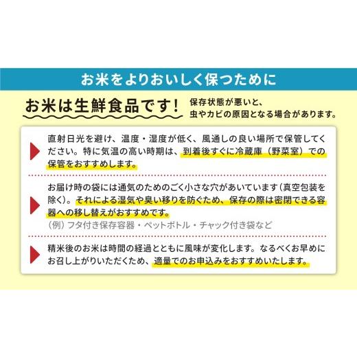 ふるさと納税 無洗米 秋田県 潟上市 《洟垂れ小僧先んずる取って置く》 毎月届く 令和8年産 秋田県産あきたこまち 上げ米 定期便6回 30kg×6回 計180kg 秋田のこまち栽培所 潟上 30…
