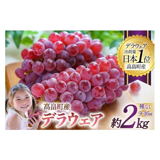 ふるさと納税 果物類 ぶどう 山形県 高畠町 期間限定発送 ぶどう デラウェア 約9〜16房 約2kg 齋藤ファーム 山形県 高畠町 tk06bnv890000 種無し ブドウ 葡萄…