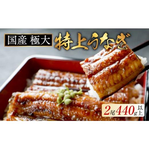 ふるさと納税 うなぎ 北海道 別海町 (7月発送) 国産 極大 特上うなぎ 計440g以上 ( 220g 2尾 ) ( 国産 うなぎ 鰻 ウナギ 蒲焼き 蒲焼 かばやき 魚 魚介 …