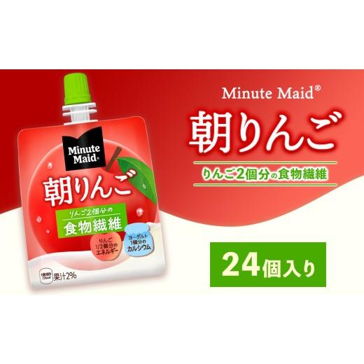 ふるさと納税 果汁飲料 りんご 茨城県 土浦市 ミニッツメイド 朝りんご 24個入り×1ケース 1回配送(12,000円)