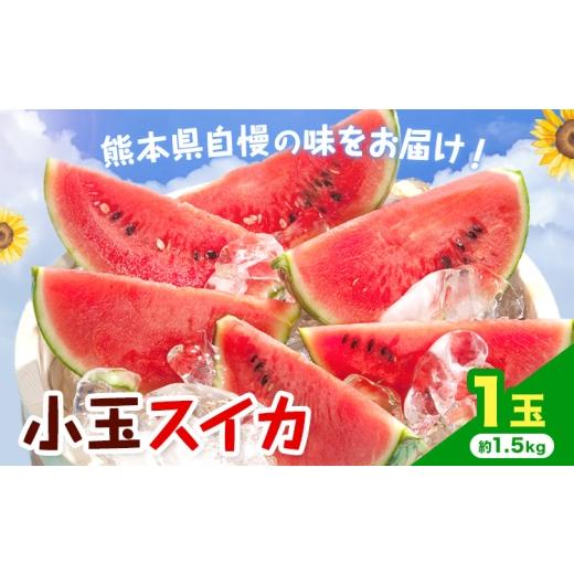 ふるさと納税 スイカ 熊本県 菊池市 先行予約 小玉スイカ 1玉 約1.5kg 日本フルーツ株式会社 [4月下旬-7月下旬頃出荷] こだますいか 西瓜 すいか フルーツ …