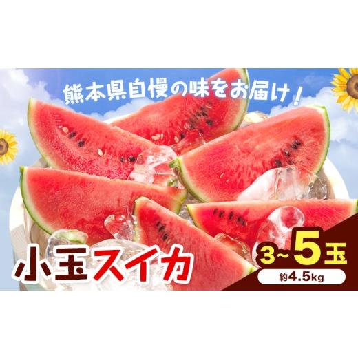 ふるさと納税 スイカ 熊本県 菊池市 先行予約 小玉スイカ 3〜5玉 約4.5kg 日本フルーツ株式会社 [4月下旬-7月下旬頃出荷] こだますいか 西瓜 すいか フルー…