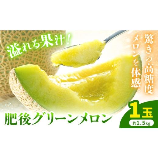 ふるさと納税 メロン 熊本県 菊池市 先行予約 肥後グリーンメロン 1玉 約1.5kg 日本フルーツ株式会社[5月上旬-7月下旬頃出荷]熊本県 菊池市 メロン 熊本県…