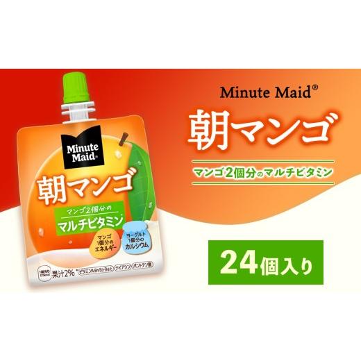 ふるさと納税 果汁飲料 りんご 茨城県 土浦市 ミニッツメイド 朝マンゴ 24個入り×1ケース 1回配送(12,000円)