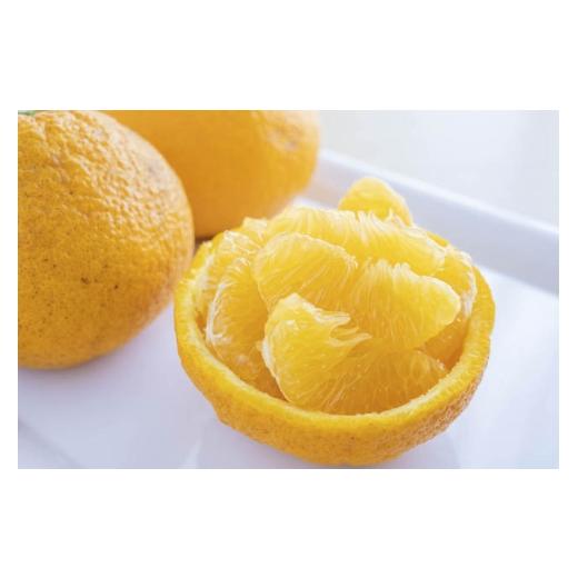 ふるさと納税 みかん・柑橘類 愛媛県 八幡浜市 八幡浜産・甘夏8kg 訳あり C56-24 _甘夏 みかん あまなつ ミカン 蜜柑 愛媛県 国産 訳アリ わけあり 8kg 果物 …