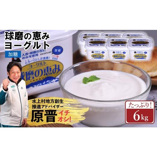 ふるさと納税 菓子 ヨーグルト 熊本県 水上村 球磨の恵み ヨーグルト 加糖 6kg まとめ買い 大容量 熊本県 水上村 加糖 6kg