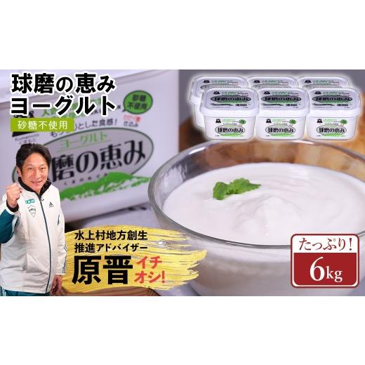 ふるさと納税 菓子 ヨーグルト 熊本県 水上村 球磨の恵み ヨーグルト 砂糖不使用 6kg まとめ買い 大容量 熊本県 水上村 砂糖不使用 6kg