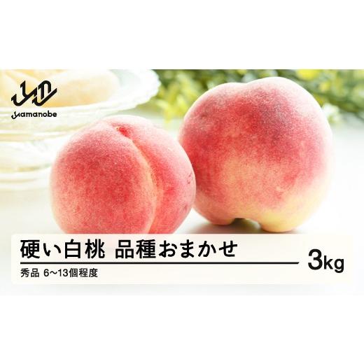 ふるさと納税 もも 山形県 山辺町 [先行予約]山形県産 硬い白桃 秀品 約3kg (6〜13個程度) 2026年8月中旬〜9月上旬頃発送予定 山形県産 送料無料 nf-mokhs3