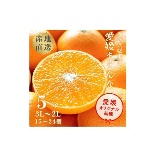 ふるさと納税 みかん・柑橘類 愛媛県 八幡浜市 産地直送 国安さんちの愛媛まどんな 贈答用 約5kg H20-31 _ みかん ミカン 蜜柑 柑橘 柑橘類 マドンナ 紅まどん…