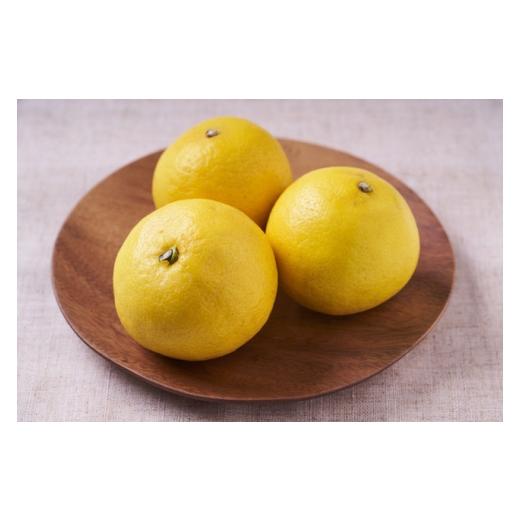 ふるさと納税 みかん・柑橘類 愛媛県 八幡浜市 柑橘の鬼 さわやかな果実 ニューサマーオレンジ5.5kg D56-35 1383235 YW