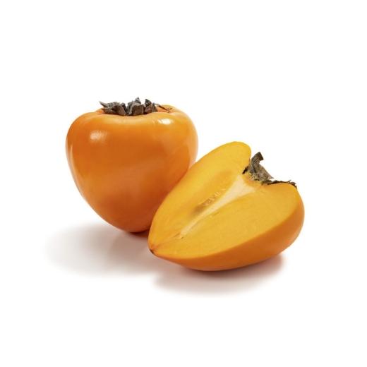 ふるさと納税 果物類 柿 愛媛県 八幡浜市 2026年発送 八幡浜特産 家庭用 富士柿(ほぼ種無し) 5kg C56-36 _訳あり わけあり 訳アリ 柿 かき 富士柿 種なし …