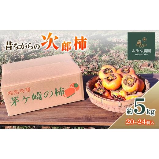 ふるさと納税 果物類 柿 神奈川県 茅ヶ崎市 茅ヶ崎市 昔ながらの次郎柿 約5kg (20〜24個入り) よゐな農園 柿 かき カキ 次郎柿 果物 くだもの フルーツ 神奈川…