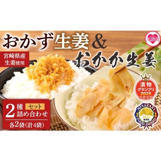 ふるさと納税 加工品等 漬物 宮崎県 三股町 万能おかず生姜とおかか生姜セット各2袋 計4袋 詰め合わせセット 食べ比べ 国産野菜 宮崎県産 つけもの ご飯 朝ご…