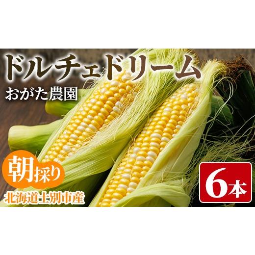ふるさと納税 とうもろこし 北海道 士別市 スイートコーン ドルチェドリーム (6本) 2026年7月下旬以降発送予定 北海道産 北海道 士別市 バイカラー とうもろこ…