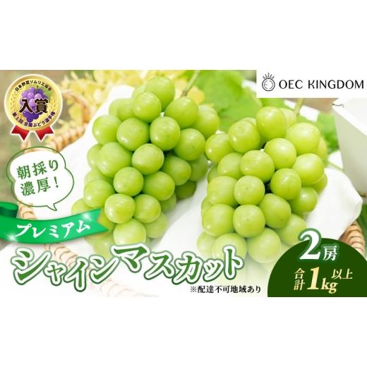 ふるさと納税 ぶどう マスカット 岡山県 玉野市 ぶどう 2026年 先行予約 プレミアム シャインマスカット 2房(1kg以上) 大粒 大房 贈答クラス ブドウ 葡萄 岡山…