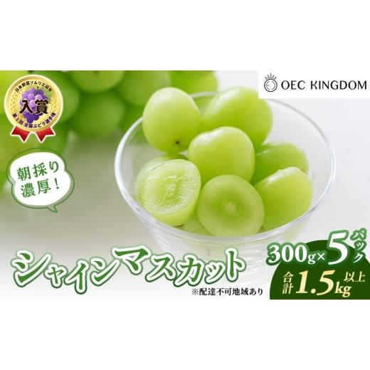 ふるさと納税 ぶどう マスカット 岡山県 玉野市 ぶどう 2026年 先行予約 シャインマスカット 300g×5パック(1.5kg以上) ブドウ 葡萄 岡山県産 国産 フルーツ …