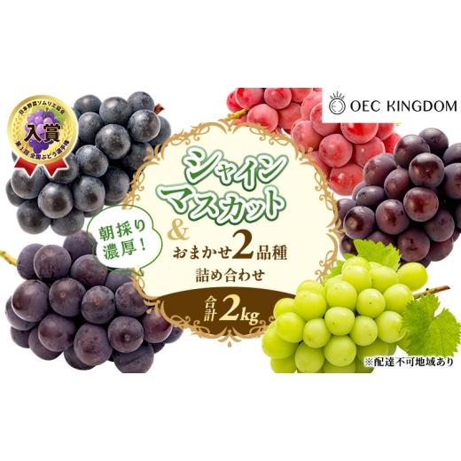 ふるさと納税 ぶどう マスカット 岡山県 玉野市 ぶどう 2026年 先行予約 シャインマスカット と おまかせ 2品種 詰め合わせ 合計2kg ブドウ 葡萄 岡山県産 国…