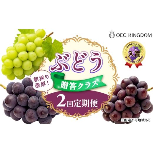 ふるさと納税 果物類 ぶどう 岡山県 玉野市 ぶどう 2026年 先行予約 贈答クラス 2回 定期便 ピオーネ オーロラブラック シャインマスカット ブドウ 葡萄 岡山…