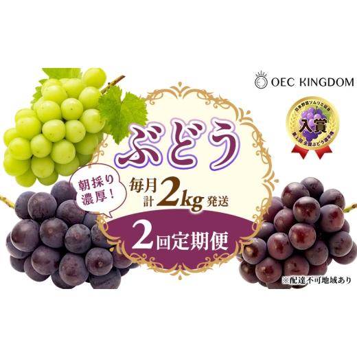 ふるさと納税 ぶどう マスカット 岡山県 玉野市 ぶどう 2026年 先行予約 2回 定期便 (毎月計2kg発送) ピオーネ オーロラブラック シャインマスカット ブドウ …