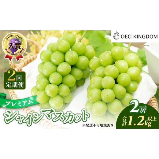 ふるさと納税 ぶどう マスカット 岡山県 玉野市 ぶどう 2026年 先行予約 2回 定期便 プレミアム シャインマスカット 2房(1.2kg以上) 贈答クラス ブドウ 葡萄 …