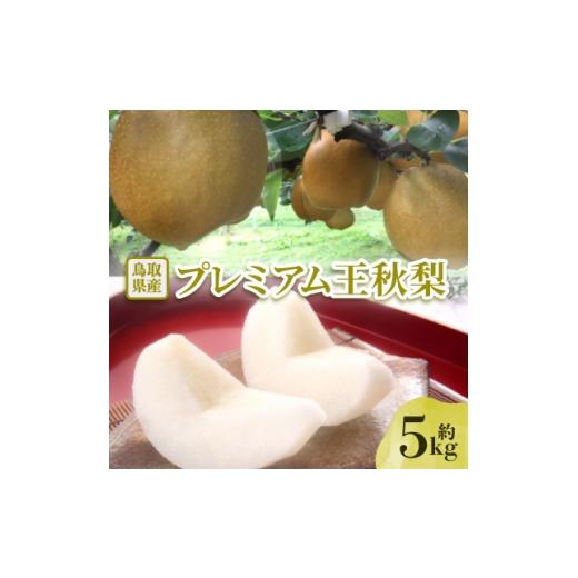 ふるさと納税 梨 鳥取県 智頭町 先行予約 プレミアム王秋梨 約5kg 1532297