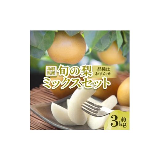 ふるさと納税 梨 鳥取県 智頭町 先行予約 品種はおまかせ 旬の梨ミックスセット 約3kg 1532306