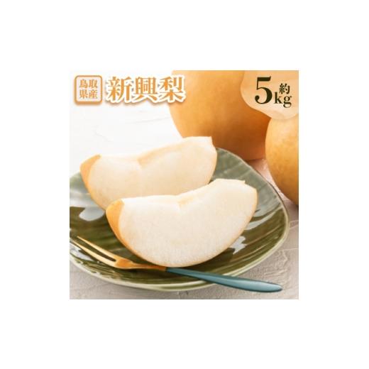 ふるさと納税 梨 鳥取県 智頭町 先行予約 新興梨 約5kg 1532309