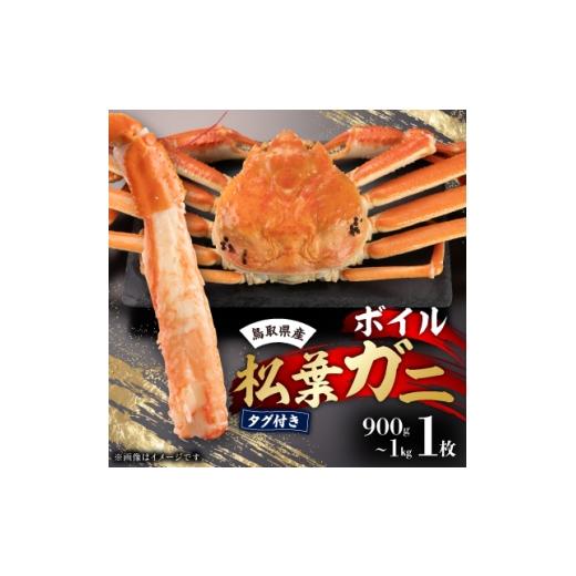 ふるさと納税 カニ 鳥取県 智頭町 鳥取県産タグ付きボイル松葉ガニ1枚(900g〜1kg) 1533392