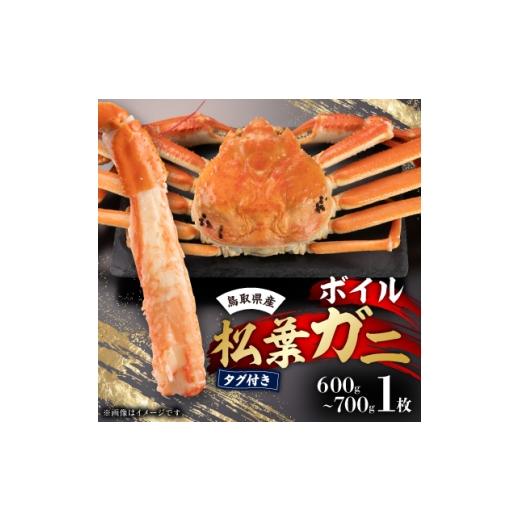 ふるさと納税 カニ ずわいガニ 鳥取県 智頭町 鳥取県産 タグ付きボイル松葉ガニ中1枚(600g〜700g) 1536354